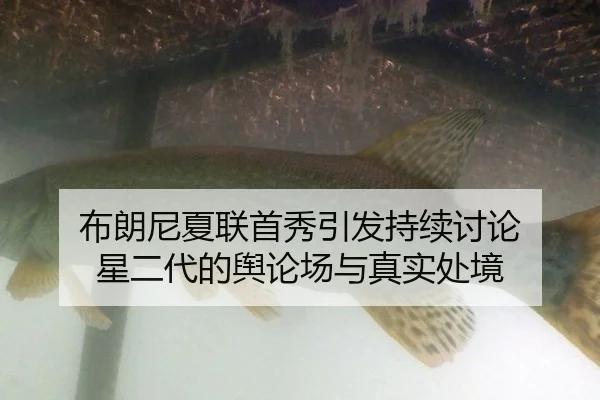 bu-lang-ni-xia-lian-shou-xiu-yin-fa-chi-xu-tao-lun-xing-er-dai-de-yu-lun-chang-yu-zhen-shi-chu-jing-2-676.jpg